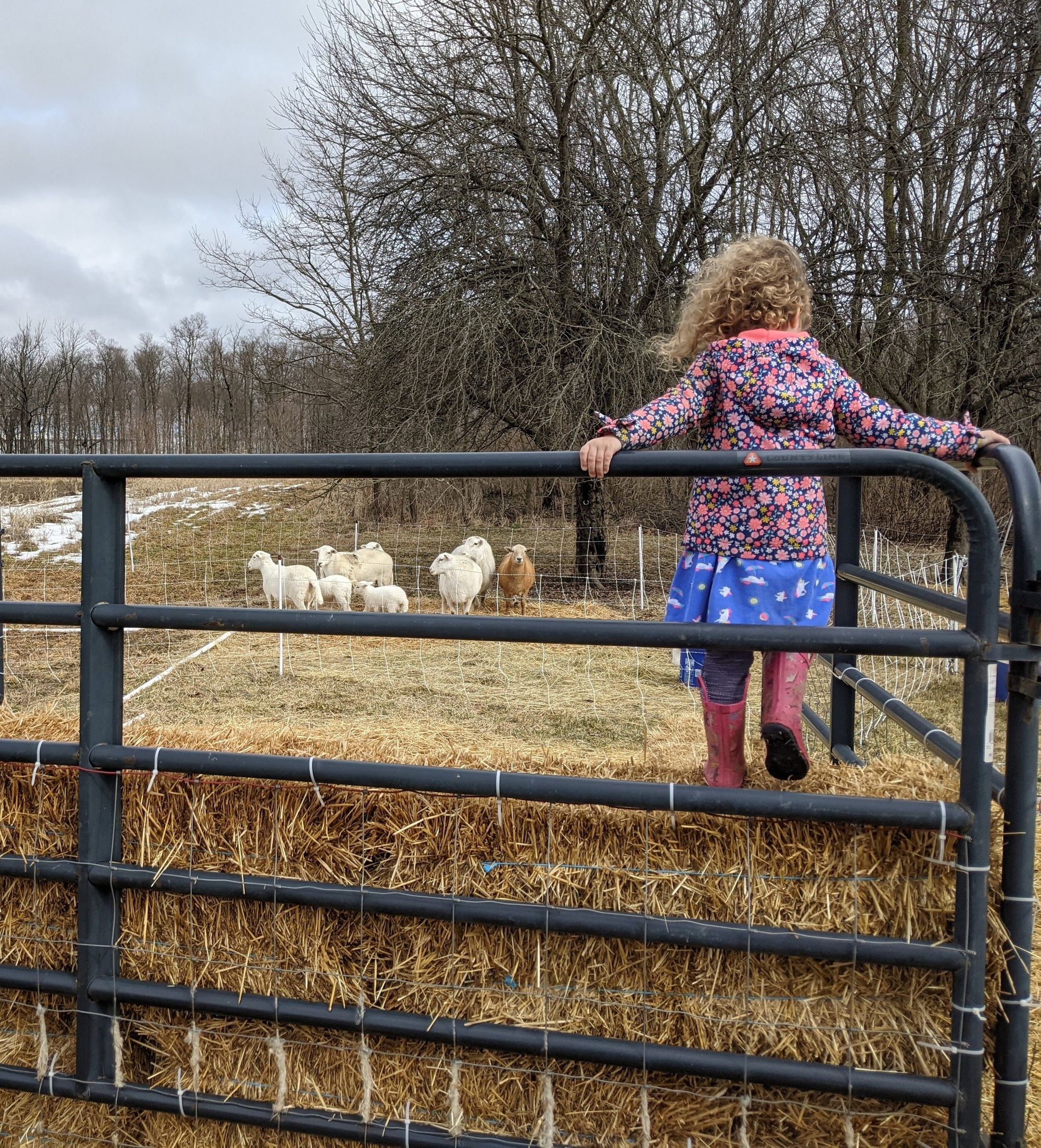 March's Spring Wind