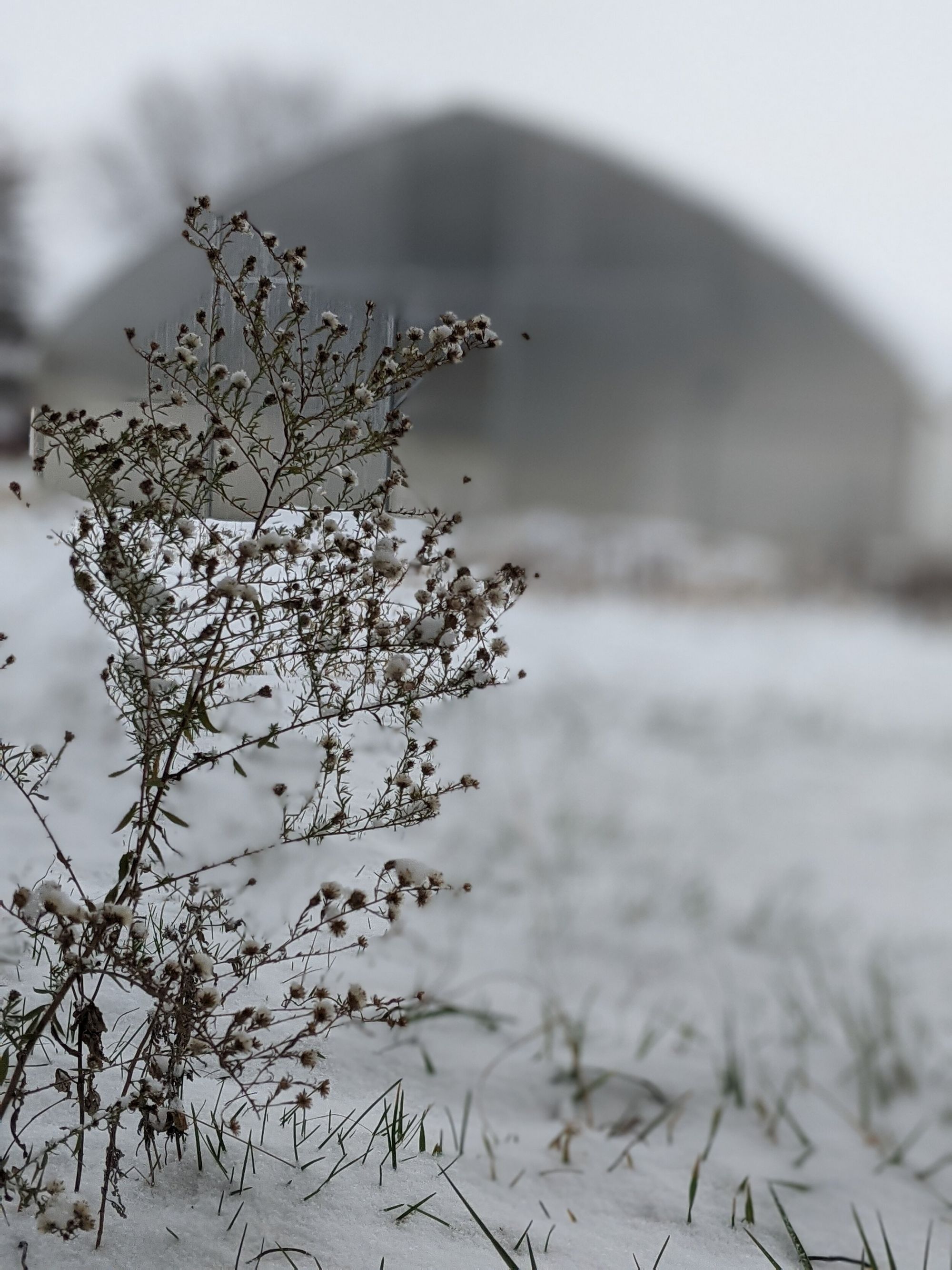 January 2021: A Time for Renewal