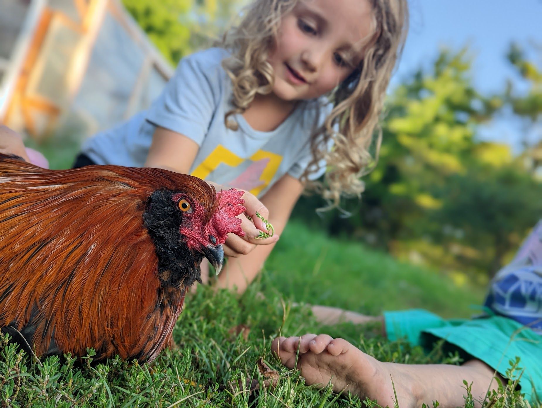 A Note on the Pecking Order