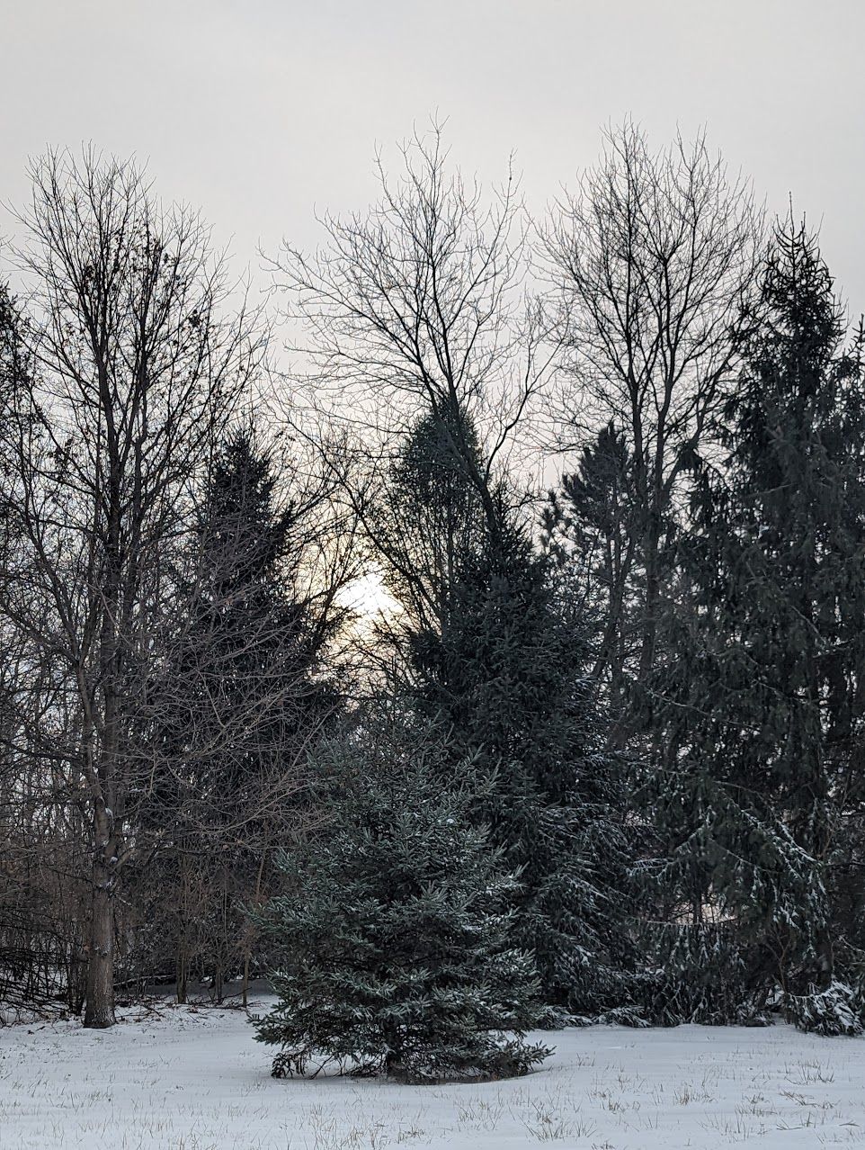 January 2023-Continuity