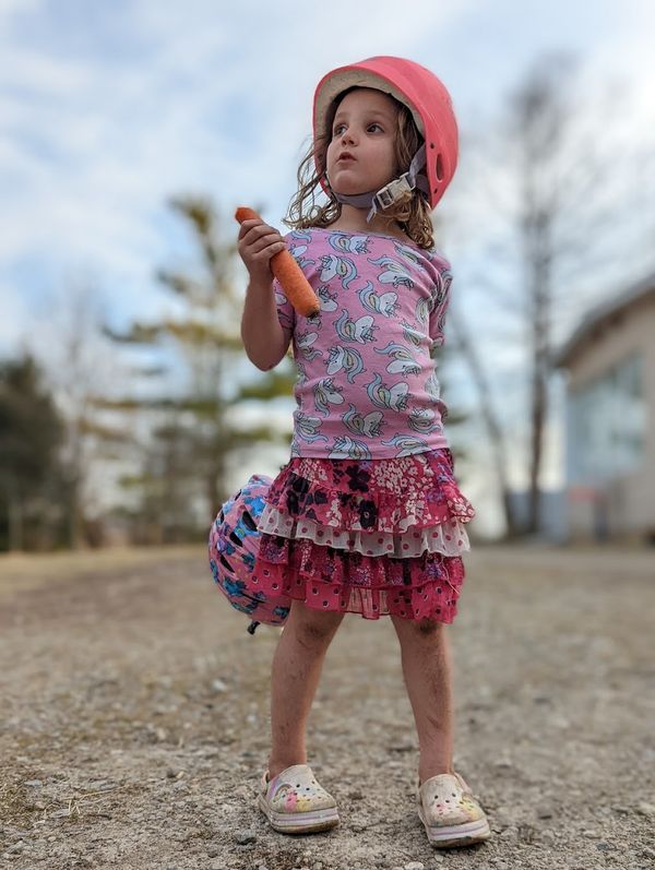 Slim Pickings-Early April on the Farm