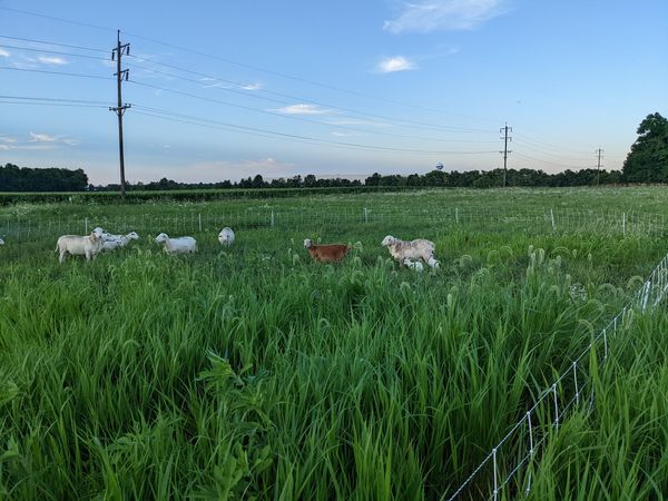 Another offer on our land