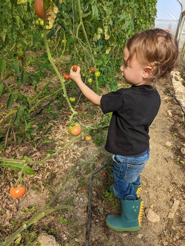 Flipping the Farm