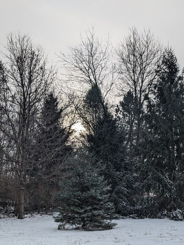 January 2023-Continuity