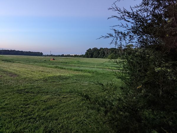 Bats and Small Farms: Endangered Species