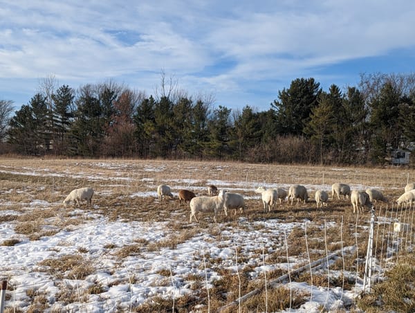 February-We Never Said We Were Good Farmers