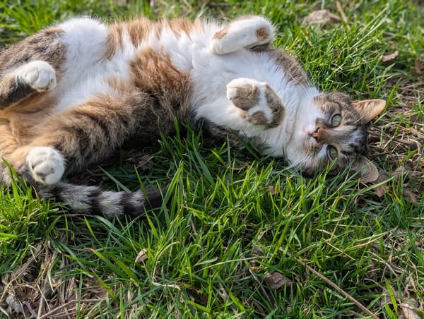 April-Domesticated LIfe